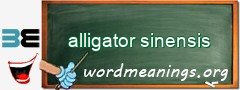 WordMeaning blackboard for alligator sinensis